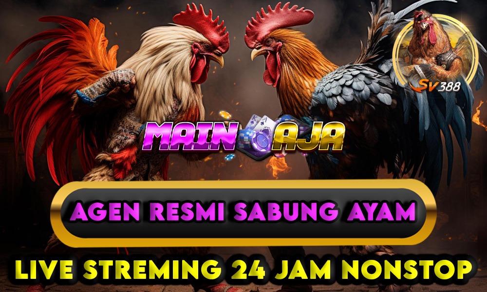 PASANG TARUHAN AYAMMU DISINI HANYA DI MAINAJA TINGGAL PILIH  WALA APA MERON GASSSSS